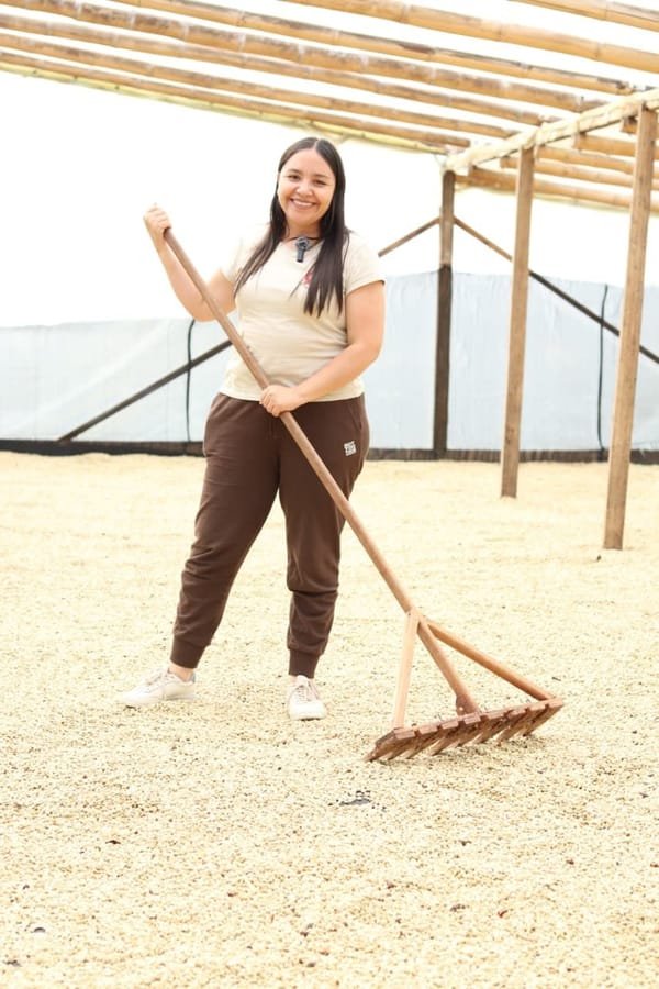 Angela Rojas raking parchment coffee on the drying patio at Finca Quebraditas — Oporapa, Huila